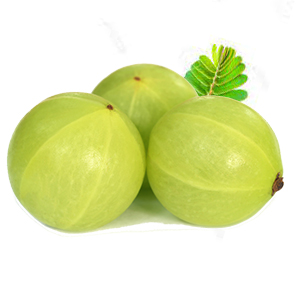 Nasha Band Ingredient Amla