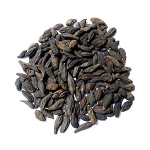 Nasha Band Ingredient Harar Kali