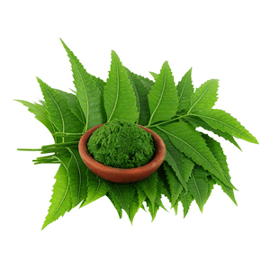 Nasha Band Ingredient Neem